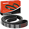 APSBT252 80.94 Inch Serpentine Belt