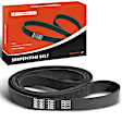 APSBT262 95.15 Inch Serpentine Belt