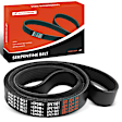APSBT281 78.02 Inch Serpentine Belt