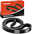 APSBT342 35.83 inch Serpentine Belt