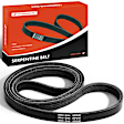 APSBT372 50.95 inch Power Steering Serpentine Belt