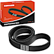 APSBT484 42.59 inch Serpentine Belt