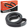 APSBT501 55.46 inch Serpentine Belt