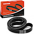 APSBT503 55.95 inch Serpentine Belt