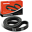 APSBT509 58.87 inch Serpentine Belt