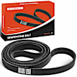 APSBT559 112.37 inch Serpentine Belt