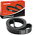 APSBT619 50.49 inch Serpentine Belt