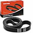 APSBT642 68 inch Serpentine Belt