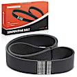 APSBT698 58.09 inch Serpentine Belt