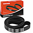 APSBT808 61.51 inch Serpentine Belt