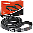 APSBT827 96.2 inch Serpentine Belt
