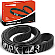 APSBT862 56.85 inch Serpentine Belt