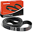 APSBT910 81.57 inch Heavy Duty Serpentine Belt