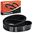 APSBT981 65.84 inch Serpentine Belt