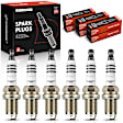APSP061 6 Pcs Iridium & Platinum Spark Plugs