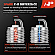 APSP076 6 Pcs Iridium & Platinum Spark Plugs
