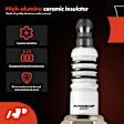 APSP172 8 Pcs Iridium & Platinum Spark Plugs