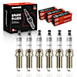 APSP175 6 Pcs Iridium & Platinum Spark Plugs