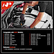 APSP219 4 Pcs Iridium & Platinum Spark Plugs