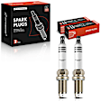 APSP224 2 Pcs Iridium & Platinum Spark Plugs