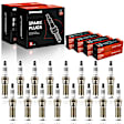 APSP257 16 Pcs Iridium & Platinum Spark Plugs