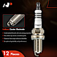 APSP259 12 Pcs Iridium & Platinum Spark Plugs