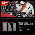 APSP272 16 Pcs Iridium & Platinum Spark Plugs