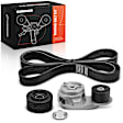 APTBK365 Serpentine Belt - Direct Fit, Set of 3