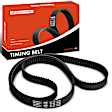 APTBT019 Engine Timing Belt