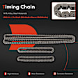 APTCK241 13 Pcs Engine Timing Chain Kit