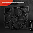 APTF1030 Radiator Cooling Fan Assembly with Shroud