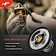 APTHE020 Engine Coolant Thermostat