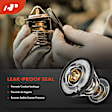 APTHE031 Engine Coolant Thermostat