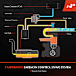 APVCS022 Vapor Canister Purge Valve