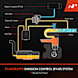 APVCS028 Vapor Canister Purge Valve
