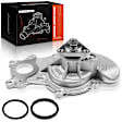 APWP0065 Engine Water Pump with Gasket