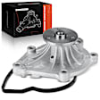 APWP0149 Engine Water Pump with Gasket