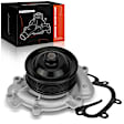 APWP0229 Engine Water Pump with Gasket