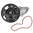 APWP0260 Engine Water Pump with Gasket