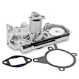 APWP0291 Engine Water Pump with Gasket
