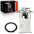FP0113 Fuel Pump Assembly
