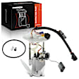 FP0137 Fuel Pump Assembly
