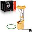 FP0148C Electric Fuel Pump Module Assembly with Sending unit