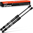 GS0001 Hood Lift Supports Shock Struts