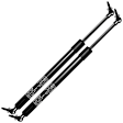 GS0087 2x Rear Liftgate Lift Supports
