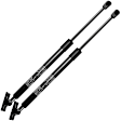 GS0118 Rear Liftgate Liftgate Hatch Lift Supports Shock Struts