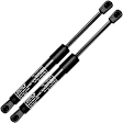 GS229 2x Front Hood Lift Supports Shock Struts
