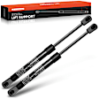GS236 2x Rear Window Lift Supports Gas Struts