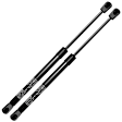 GS269C 2x Rear Window Lift Supports Shock Struts