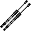 GS359 2x Rear Tailgate Lift Supports Shock Struts